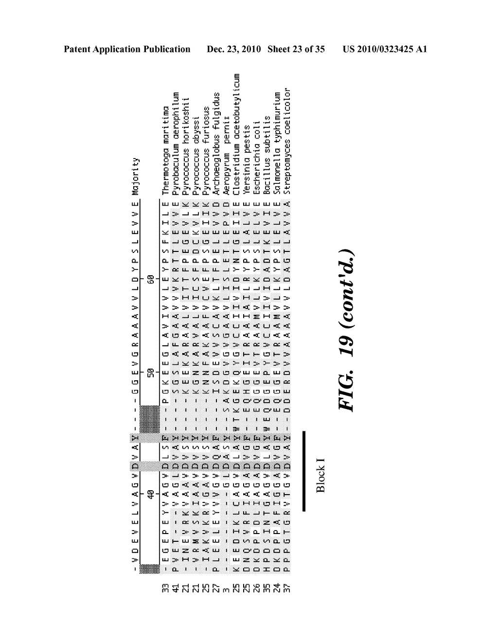 DETECTION OF NUCLEIC ACID DIFFERENCES USING COMBINED ENDONUCLEASE CLEAVAGE AND LIGATION REACTIONS - diagram, schematic, and image 24