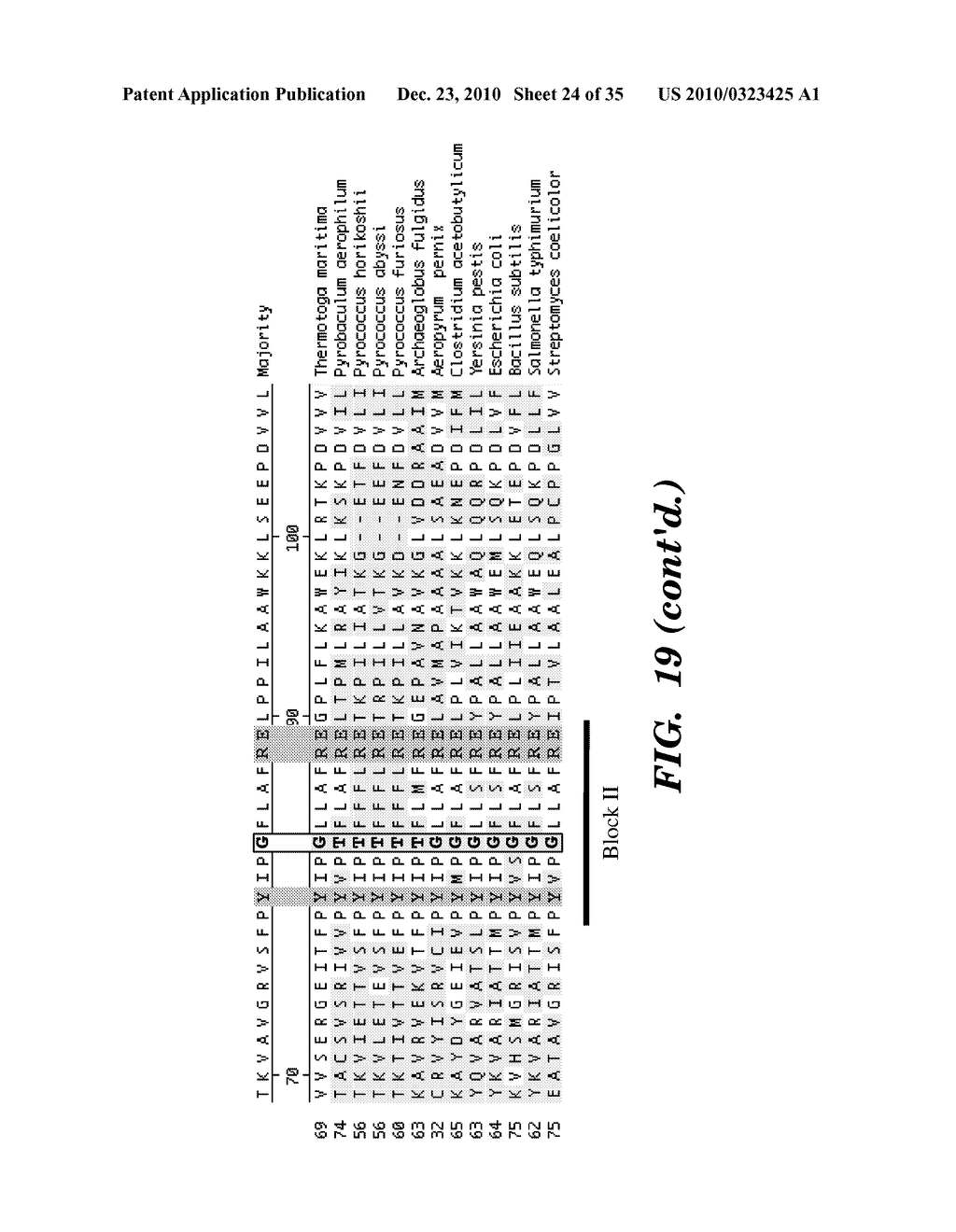 DETECTION OF NUCLEIC ACID DIFFERENCES USING COMBINED ENDONUCLEASE CLEAVAGE AND LIGATION REACTIONS - diagram, schematic, and image 25