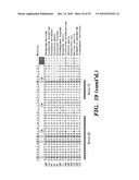 DETECTION OF NUCLEIC ACID DIFFERENCES USING COMBINED ENDONUCLEASE CLEAVAGE AND LIGATION REACTIONS diagram and image