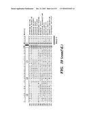 DETECTION OF NUCLEIC ACID DIFFERENCES USING COMBINED ENDONUCLEASE CLEAVAGE AND LIGATION REACTIONS diagram and image