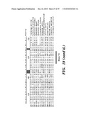 DETECTION OF NUCLEIC ACID DIFFERENCES USING COMBINED ENDONUCLEASE CLEAVAGE AND LIGATION REACTIONS diagram and image