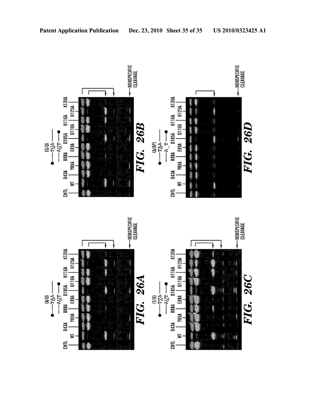 DETECTION OF NUCLEIC ACID DIFFERENCES USING COMBINED ENDONUCLEASE CLEAVAGE AND LIGATION REACTIONS - diagram, schematic, and image 36