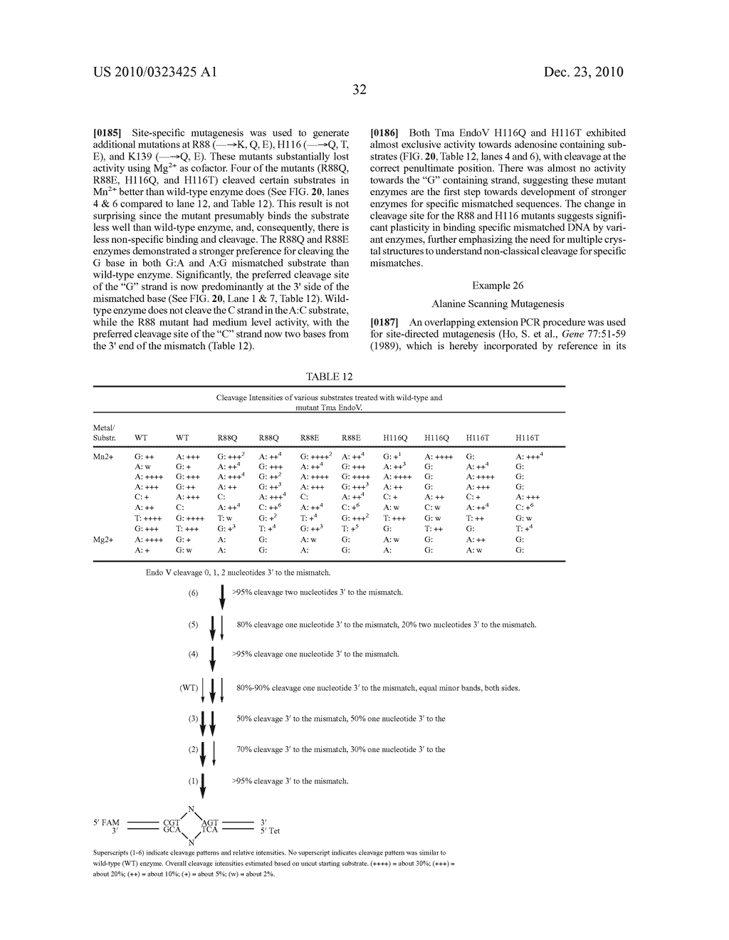 DETECTION OF NUCLEIC ACID DIFFERENCES USING COMBINED ENDONUCLEASE CLEAVAGE AND LIGATION REACTIONS - diagram, schematic, and image 68