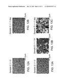 MICROSTRUCTURE MODIFICATION IN COPPER INTERCONNECT STRUCTURE diagram and image