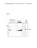 Vhh for the Diagnosis, Prevention and Treatment of Diseases Associated with Protein Aggregates diagram and image