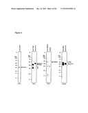 Vhh for the Diagnosis, Prevention and Treatment of Diseases Associated with Protein Aggregates diagram and image