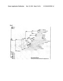 Vhh for the Diagnosis, Prevention and Treatment of Diseases Associated with Protein Aggregates diagram and image