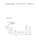 Vhh for the Diagnosis, Prevention and Treatment of Diseases Associated with Protein Aggregates diagram and image