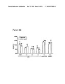 Vhh for the Diagnosis, Prevention and Treatment of Diseases Associated with Protein Aggregates diagram and image