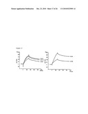 Vhh for the Diagnosis, Prevention and Treatment of Diseases Associated with Protein Aggregates diagram and image