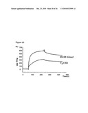 Vhh for the Diagnosis, Prevention and Treatment of Diseases Associated with Protein Aggregates diagram and image