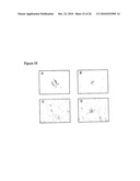 Vhh for the Diagnosis, Prevention and Treatment of Diseases Associated with Protein Aggregates diagram and image