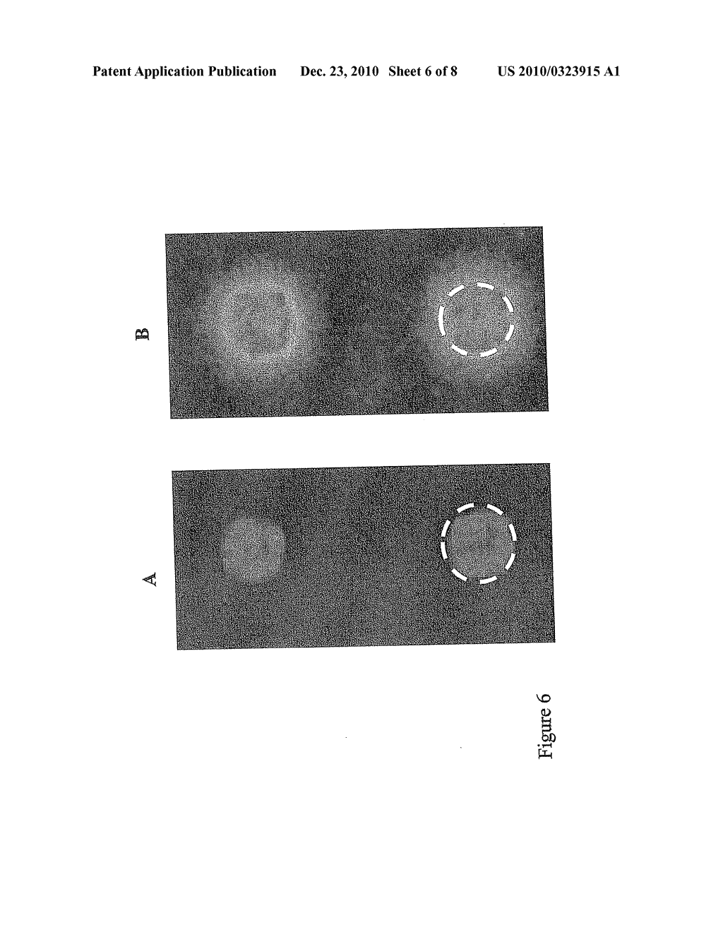 Porous Substrate Plates And The Use Thereof - diagram, schematic, and image 07