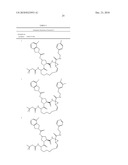 MACROCYCLIC HEPATITIS C PROTEASE INHIBITORS diagram and image