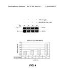 Method for Treating Diabetes diagram and image