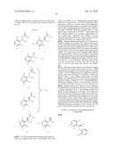 ENANTIOMERICALLY PURE AMINOHETEROARYL COMPOUNDS AS PROTEIN KINASE INHIBITORS diagram and image