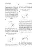 ENANTIOMERICALLY PURE AMINOHETEROARYL COMPOUNDS AS PROTEIN KINASE INHIBITORS diagram and image