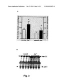 THERAPEUTIC USE OF CARBOXYL ESTER LIPASE INHIBITORS diagram and image