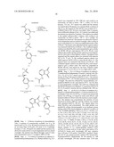 SUBSTITUTED ISOINDOLINE-1,3-DIONE DERIVATIVES diagram and image