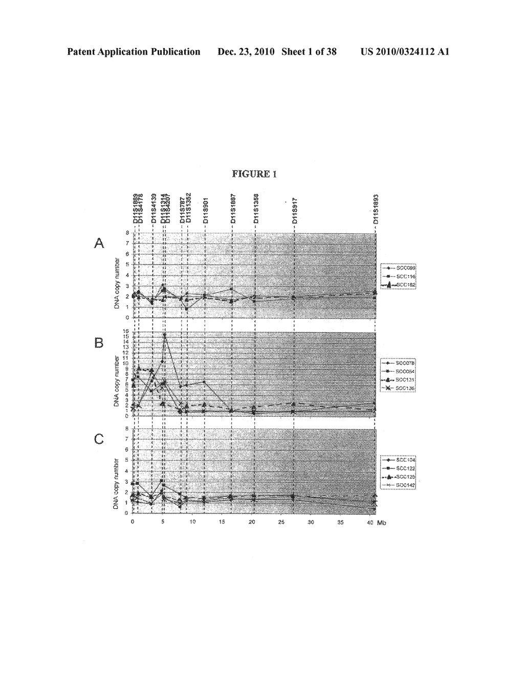 Genetic changes in ATM and ATR/CHEK1 as prognostic indicators in cancer - diagram, schematic, and image 02