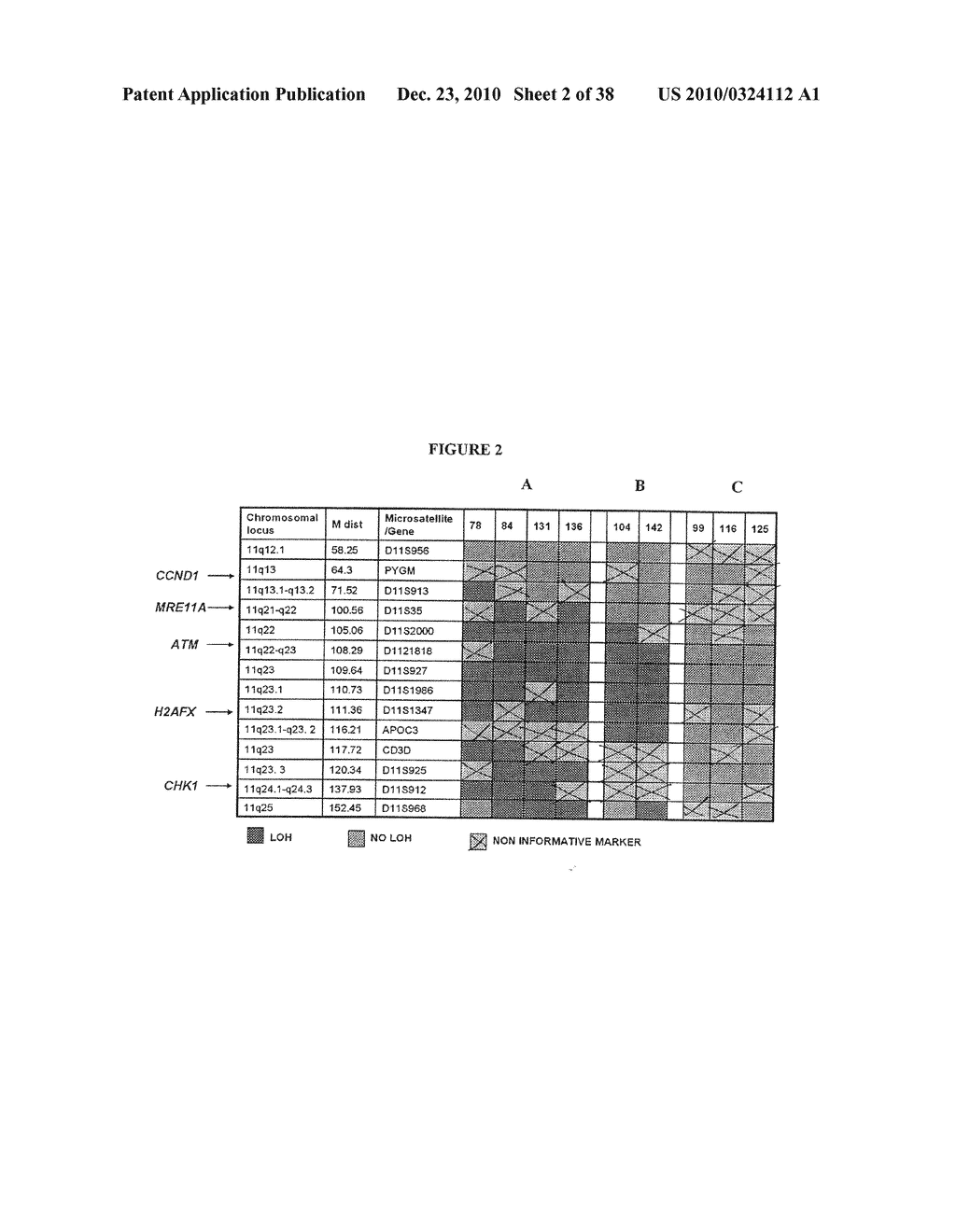 Genetic changes in ATM and ATR/CHEK1 as prognostic indicators in cancer - diagram, schematic, and image 03