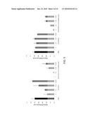 LIPID FORMULATION diagram and image