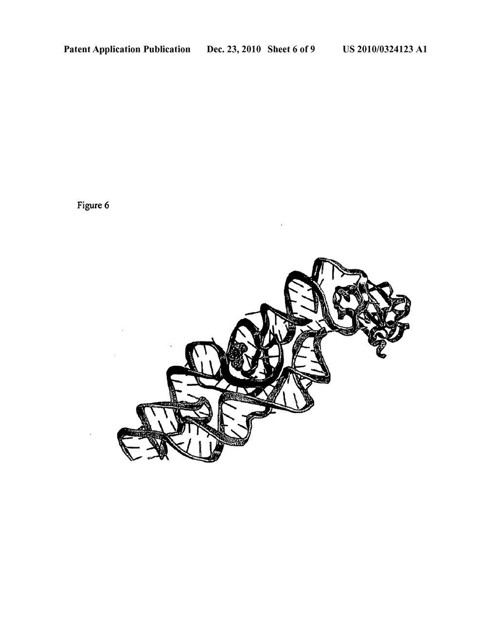 GLMS RIBOSWITCHES, STRUCTURE-BASED COMPOUND DESIGN WITH GLMS RIBOSWITCHES, AND METHODS AND COMPOSITIONS FOR USE OF AND WITH GLMS RIBOSWITCHES - diagram, schematic, and image 07