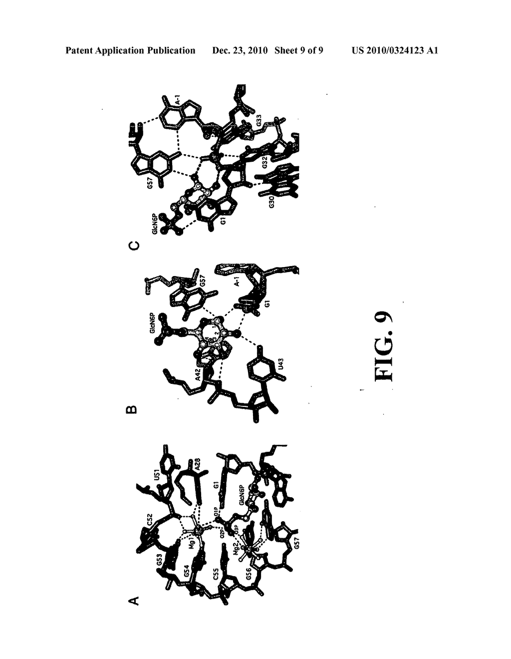 GLMS RIBOSWITCHES, STRUCTURE-BASED COMPOUND DESIGN WITH GLMS RIBOSWITCHES, AND METHODS AND COMPOSITIONS FOR USE OF AND WITH GLMS RIBOSWITCHES - diagram, schematic, and image 10