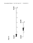 Proteins derived from white spot syndrome virus and uses thereof diagram and image