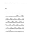 Proteins derived from white spot syndrome virus and uses thereof diagram and image