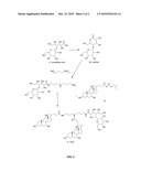 SYN3 COMPOSITIONS AND METHODS diagram and image