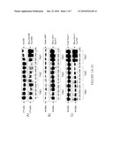 VITAMIN K FOR PREVENTION AND TREATMENT OF SKIN RASH SECONDARY TO ANTI-EGFR THERAPY diagram and image