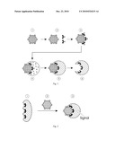 AFFINITY STRUCTURES FOR THE SPECIFIC BINDING OF SUBSTANCES BY MEANS OF NON-COVALENT INTERACTION TYPES diagram and image