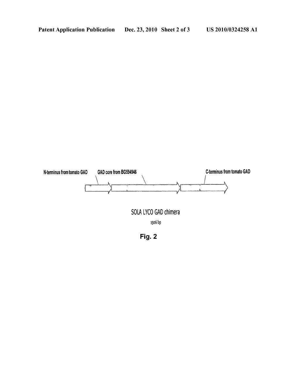 Process for the Production of Gamma-Aminobutyric Acid - diagram, schematic, and image 03