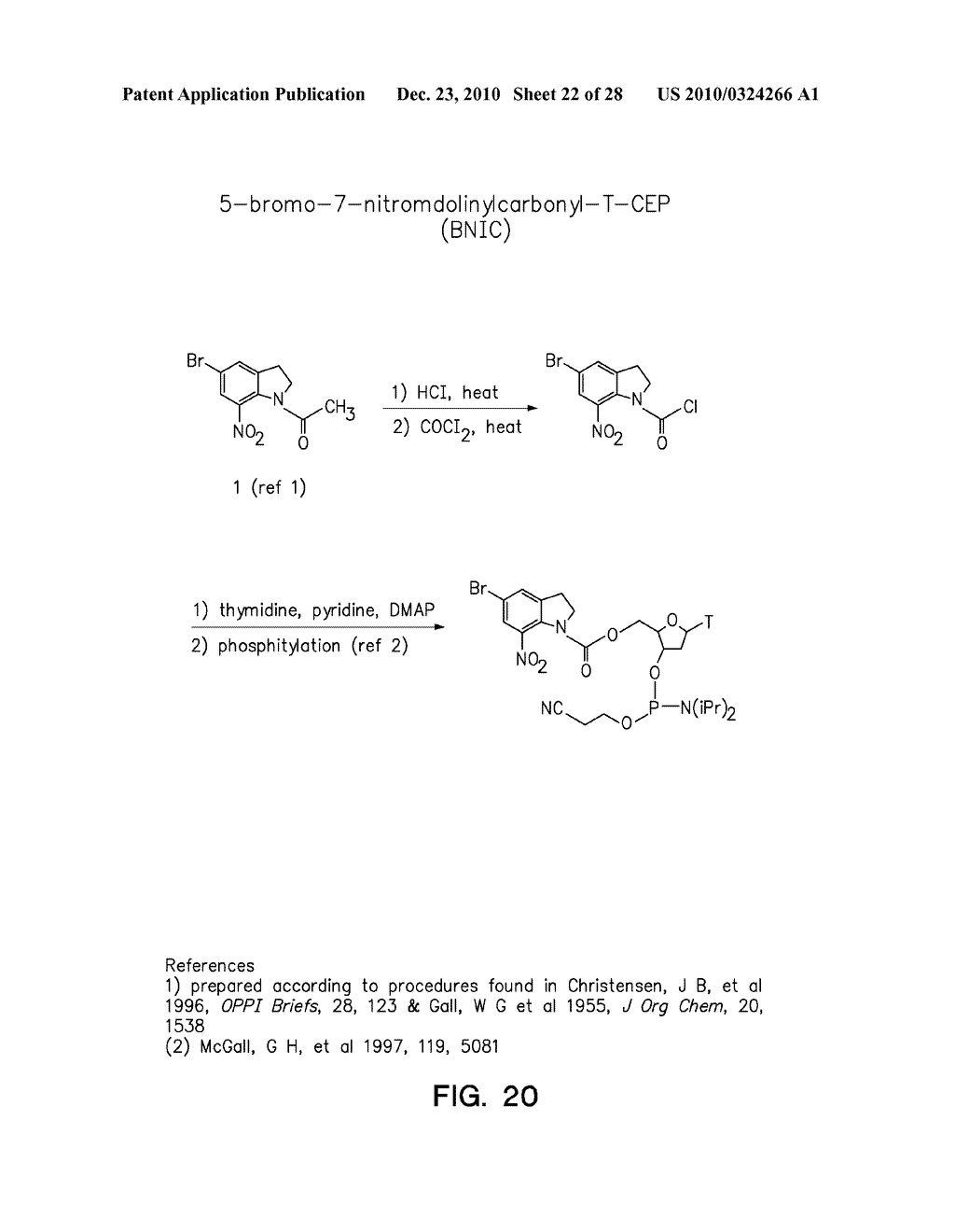 Photocleavable Protecting Groups - diagram, schematic, and image 23