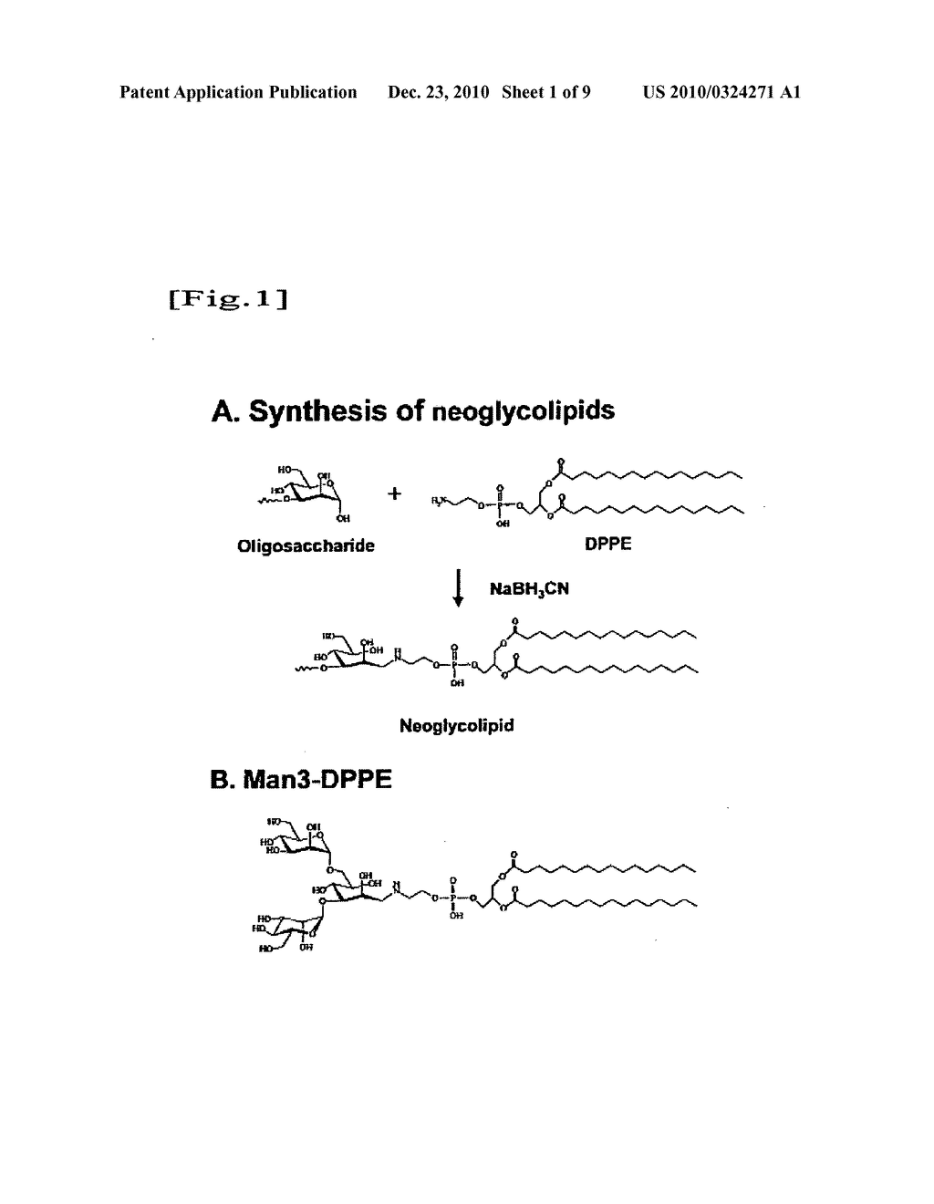 PHAGE-DISPLAYING SINGLE-CHAIN ANTIBODY CAPABLE OF RECOGNIZING NON-REDUCED MANNOSE RESIDUE - diagram, schematic, and image 02