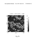 POLY(CITRIC ACID) FUNCTIONALIZED CARBON NANOTUBE DRUG DELIVERY SYSTEM diagram and image