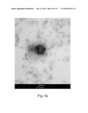 POLY(CITRIC ACID) FUNCTIONALIZED CARBON NANOTUBE DRUG DELIVERY SYSTEM diagram and image