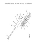 Insertion Device and Method for Delivery of a Mesh Carrier diagram and image