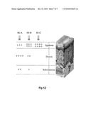 CONTROLABLE INFRARED BIOEFFECT SYSTEM diagram and image