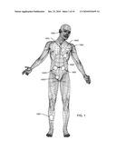 METHODOLOGY AND APPARATUS TO TERMINATE ABANDONED ACTIVE IMPLANTABLE MEDICAL DEVICE LEADS diagram and image