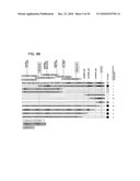 Major QTLS Conferring Resistance Of Corn To Fijivirus diagram and image