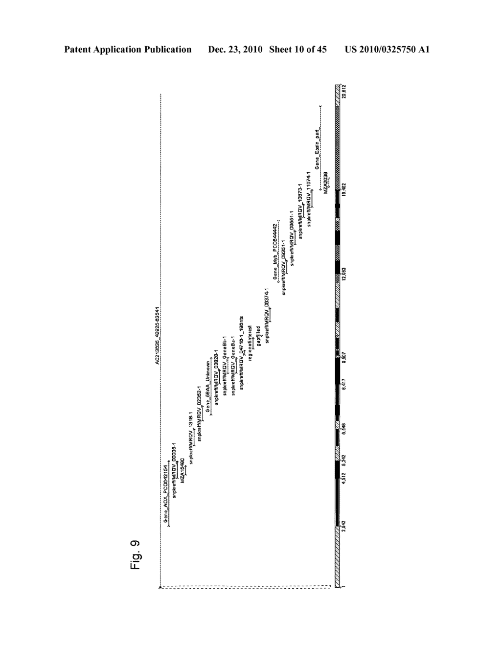 Major QTLS Conferring Resistance Of Corn To Fijivirus - diagram, schematic, and image 11