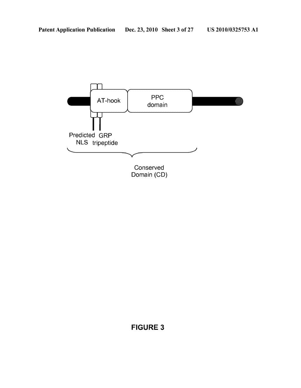 Plants Having Increased Yield-Related Traits and a Method For Making The Same - diagram, schematic, and image 04