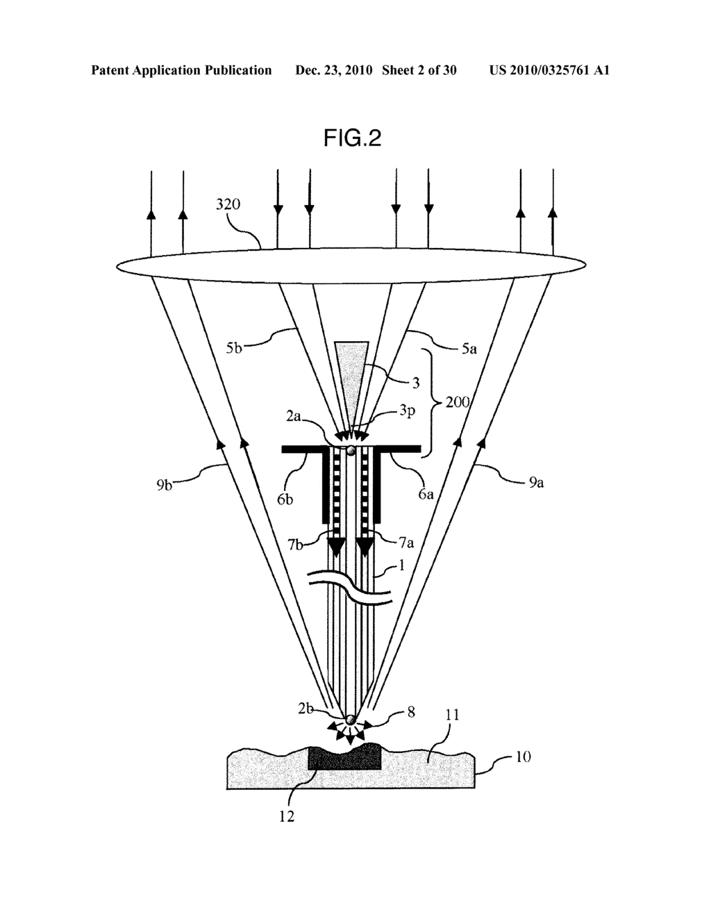 Scanning Probe Microscope and Method of Observing Sample Using the Same - diagram, schematic, and image 03