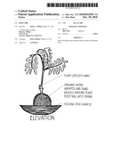 Root Orb diagram and image