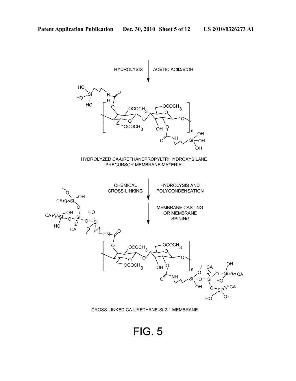 PLASTICIZATION RESISTANT MEMBRANES - diagram, schematic, and image 06