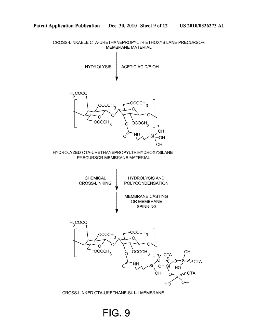 PLASTICIZATION RESISTANT MEMBRANES - diagram, schematic, and image 10