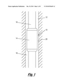 Swellable Oilfield Apparatus and Methods of Forming diagram and image