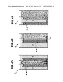 MONOLITHIC ELECTROPHORESIS GEL SYSTEM diagram and image